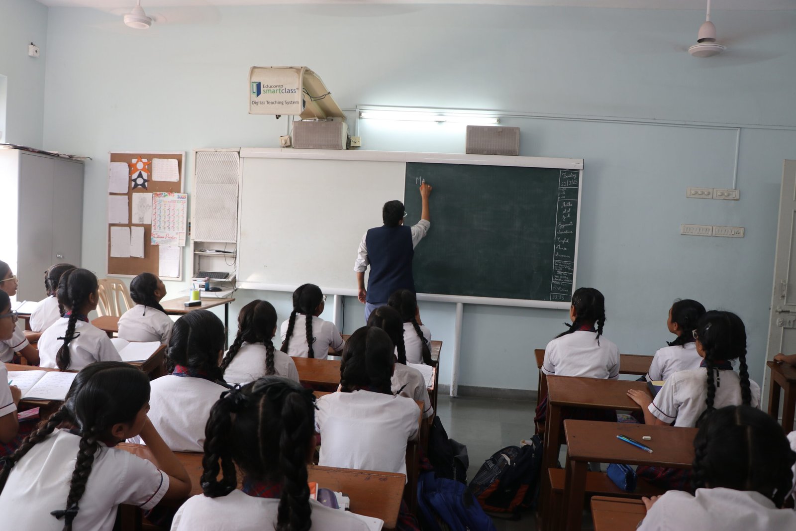 undergraduate education